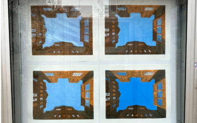 Freiflächen Luise Wascher